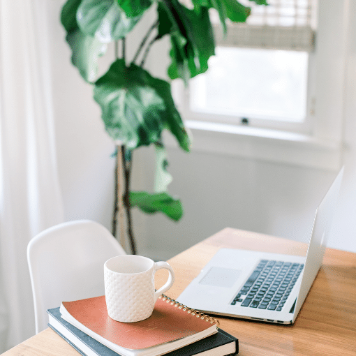 laptop notebooks coffee mug on table and elephant plant